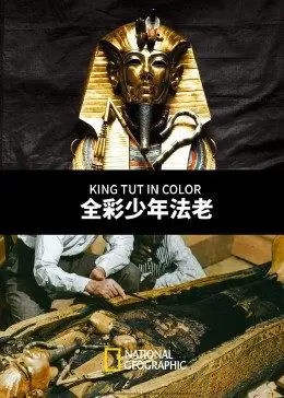 少年法老：古埃及探秘之旅，揭开神秘面纱