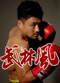 2018武林风：巅峰武术高手激情对决