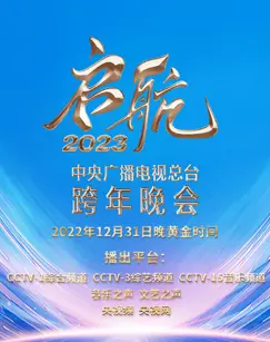 辞旧迎新，星光璀璨！2024中央广播电视总台跨年晚会精彩回顾与亮点解读